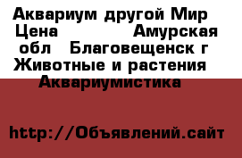 Аквариум другой Мир › Цена ­ 28 000 - Амурская обл., Благовещенск г. Животные и растения » Аквариумистика   